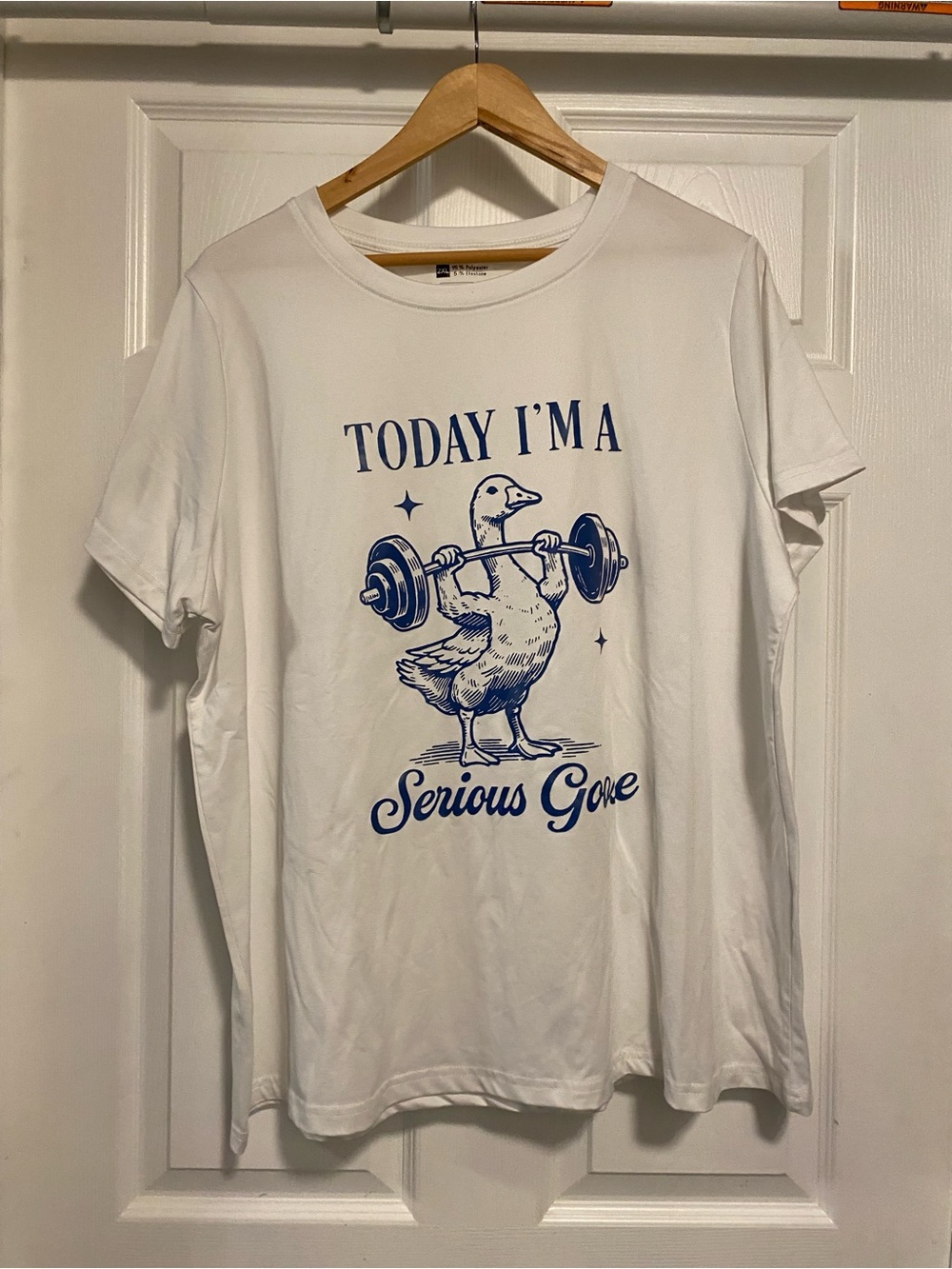 Men's White Graphic Tee - "Today I'm A Serious Goose"